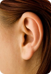 human ear