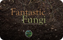 Fantastic Fungi pic