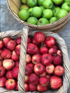 freshly picked apples in baskets