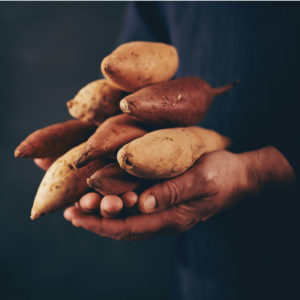 female hands holding stack of sweet potatoes