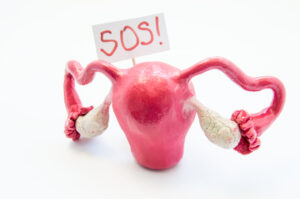 Natural anatomical 3D uterus with ovaries model with placard inscripted SOS.