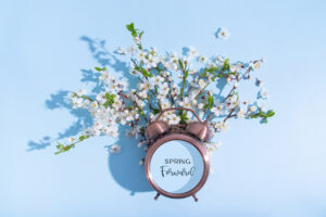 Spring forward text on alarm clock and blossom branches on a blue background. Flat lay, top view composition.
