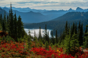 Red Huckleberry and Pine Trees in Front of Dewey Lake in Washington wilderness